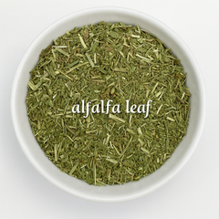 Alfalfa Leaf