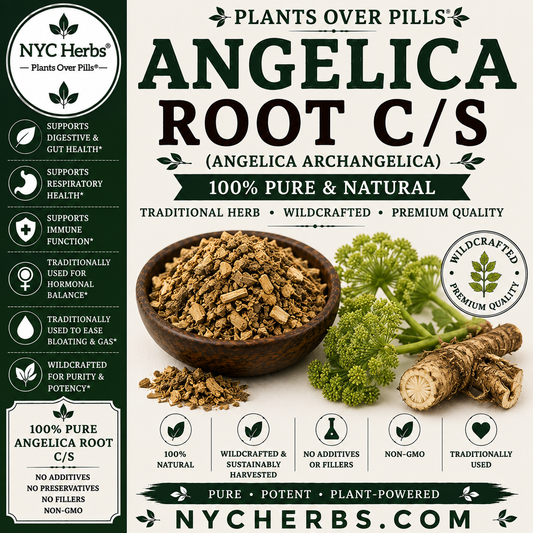 Angelica Root c/s