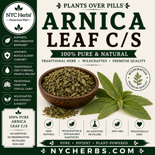 Arnica Leaf | Pain Relief & Circulation Support