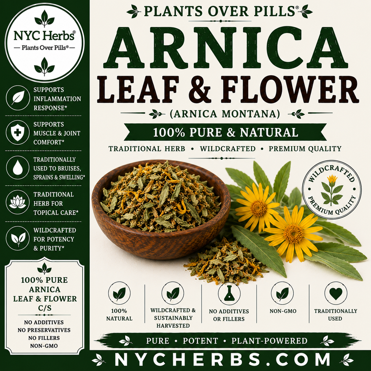Arnica Leaf & Flower | Topical Relief & Muscle Comfort