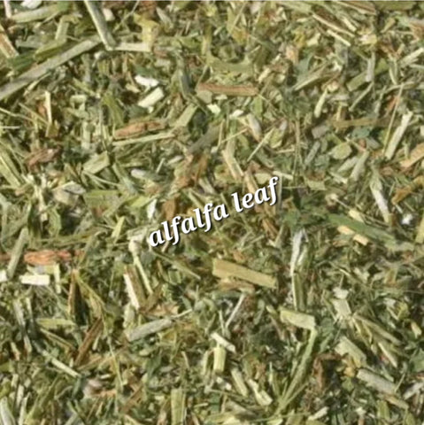 Hoja de Alfalfa (Hoja de Alfalfa)