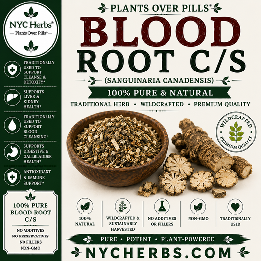Blood Root c/s | Traditional Skin Remedy & Topical Support