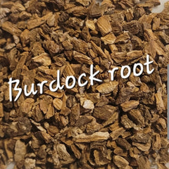 Burdock Root