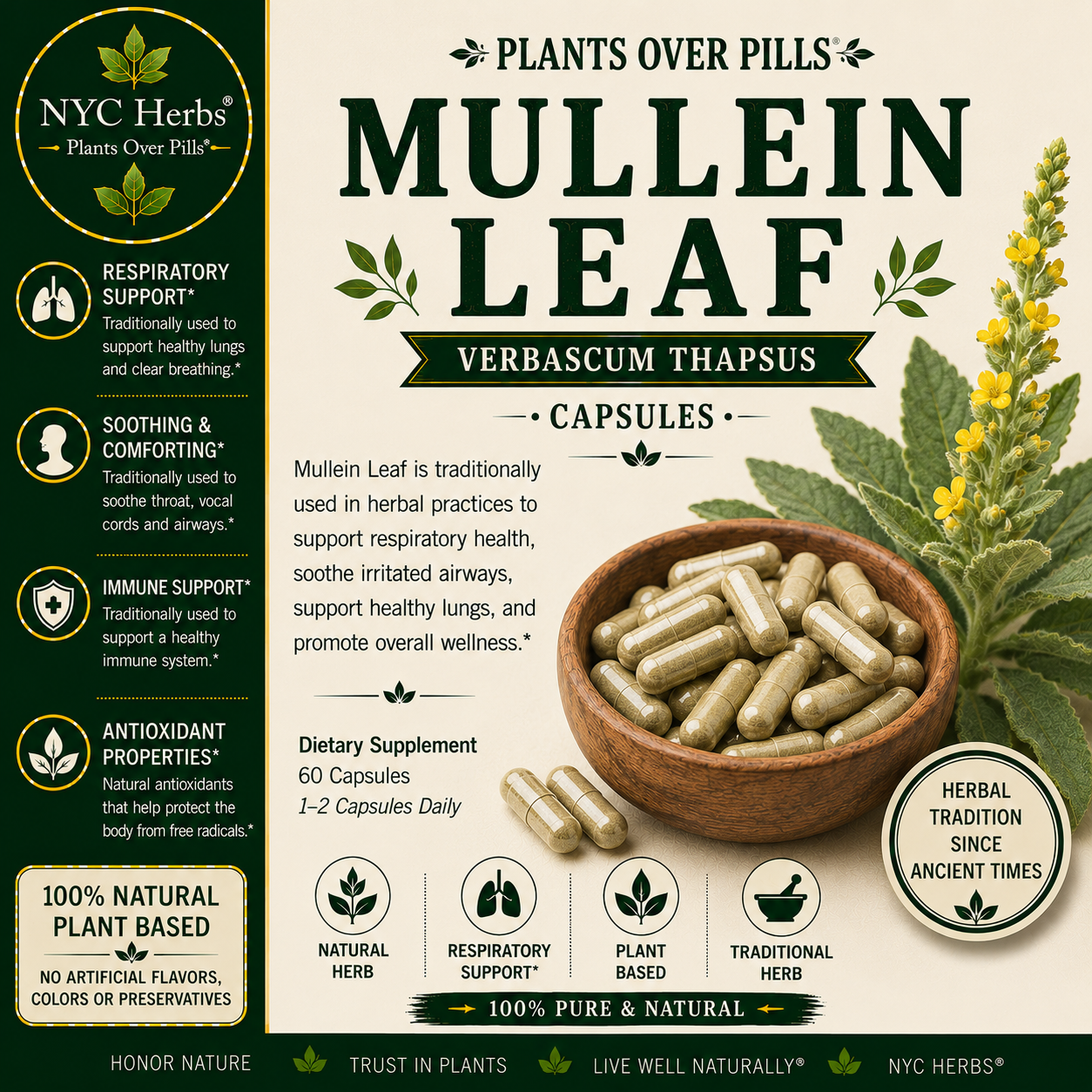 Mullein Leaf Capsules