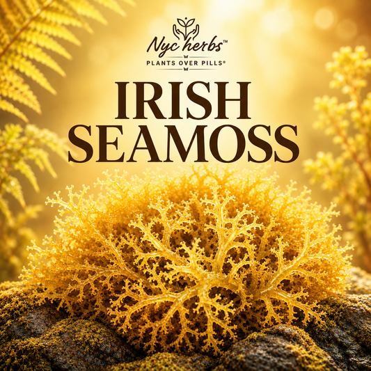 Irish Seamoss (Sea Moss) dry