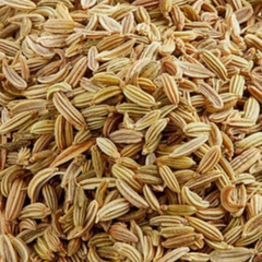 DILL SEED