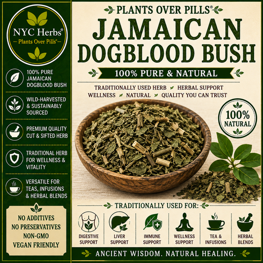 Dog Blood Bush | Fertility & Circulatory Support