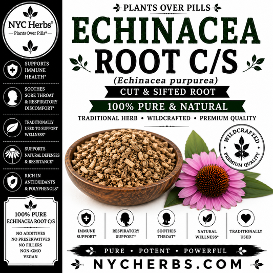Echinacea root c/s
