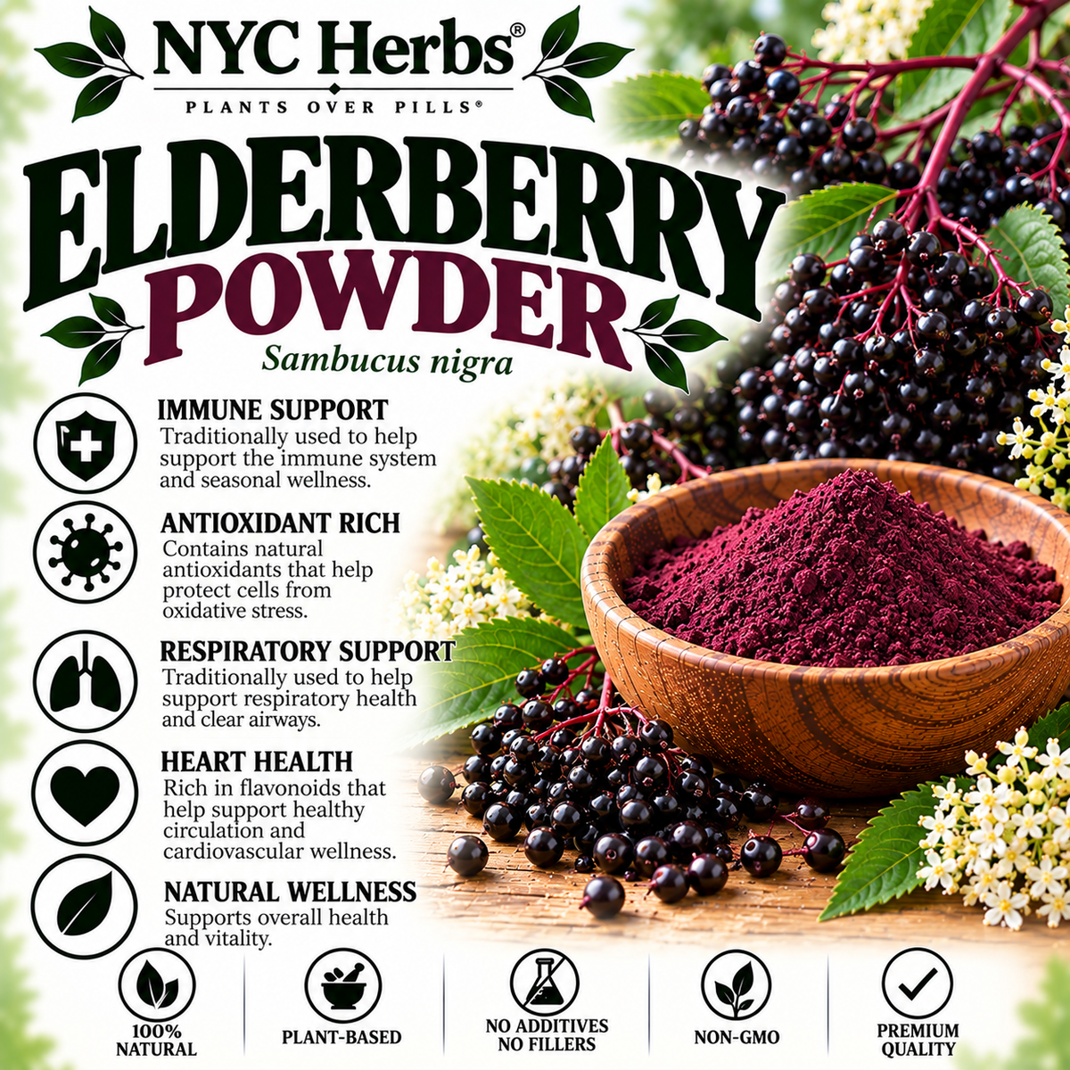 Elderberry | Immune Support & Seasonal Wellness