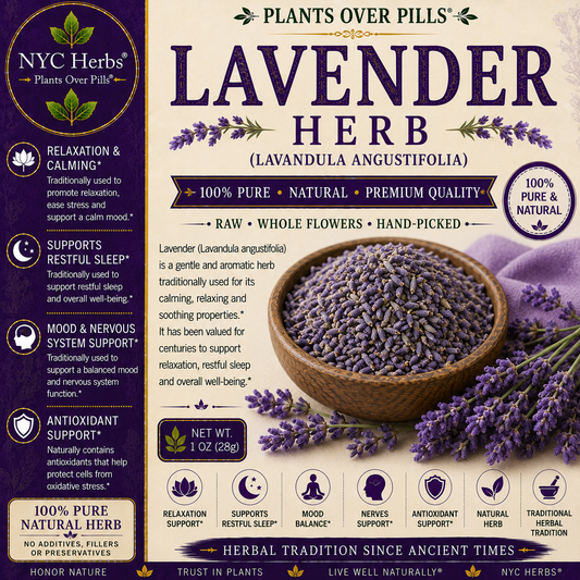 Lavender | Relaxation & Nervous System Support