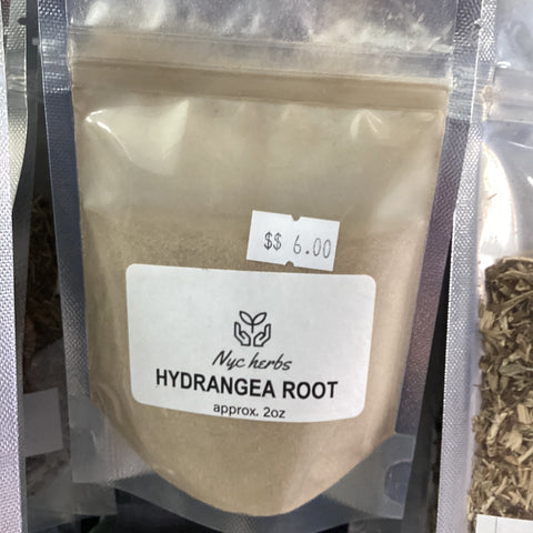 HYDRANGEA ROOT: Nature's Kidney Support