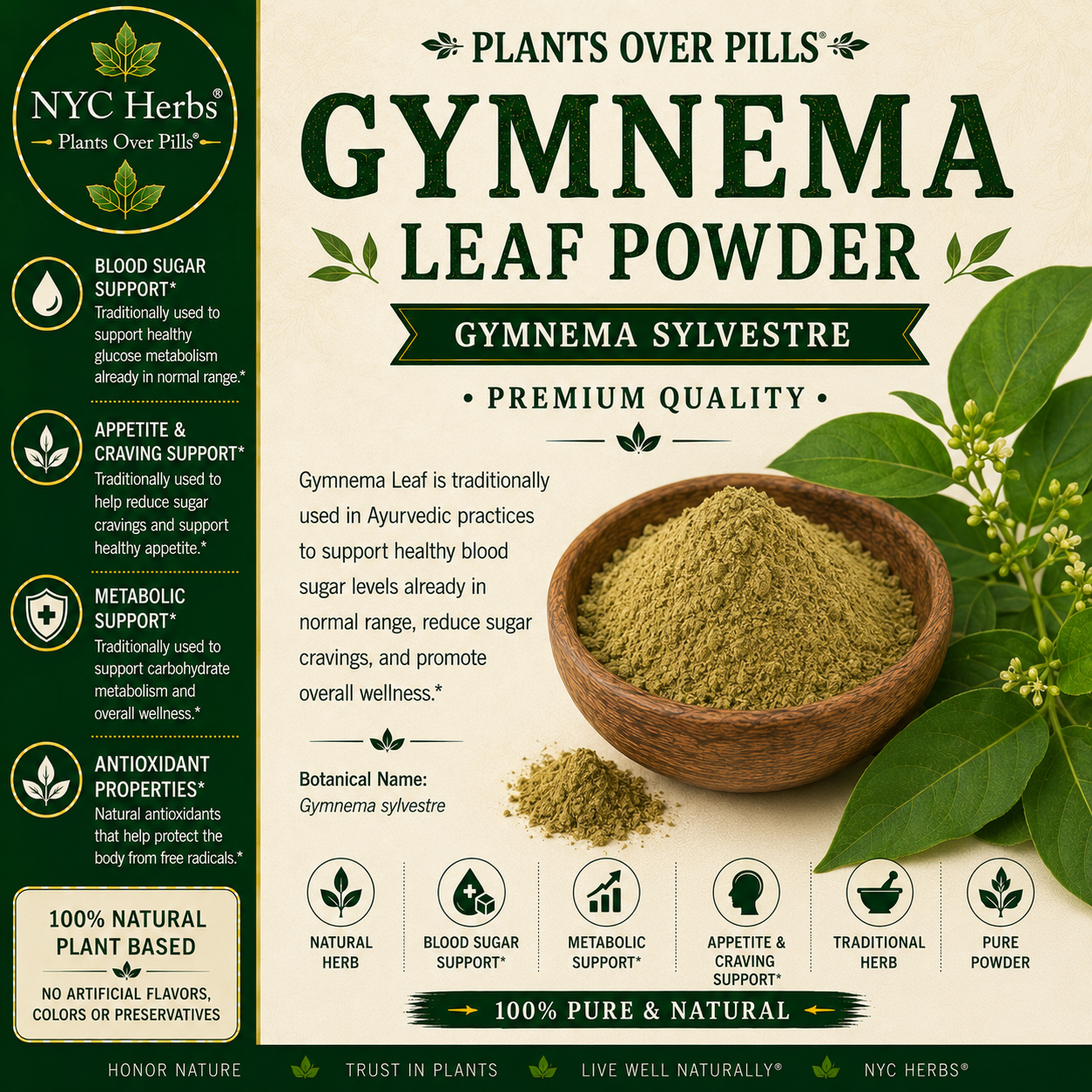 Gymnema Powder | Sweet Balance & Herbal Tradition