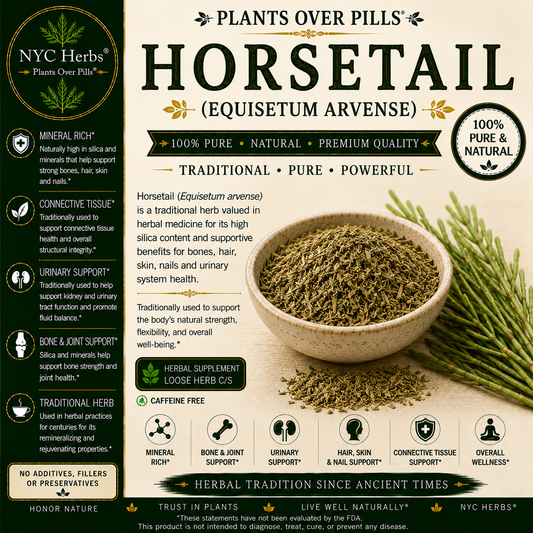 Horsetail Herb c/s | Hair, Skin & Bone Support