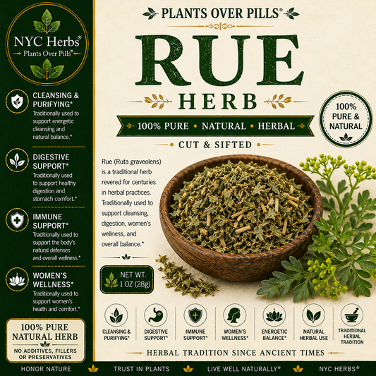 Rue Herb (Ruda) | Protection, Digestive & Circulatory Support