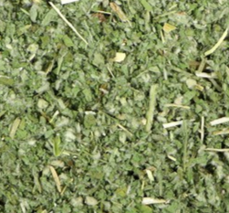 Horehound