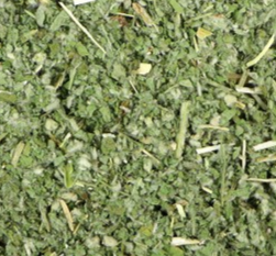 HOREHOUND