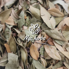 Myrtle leaf