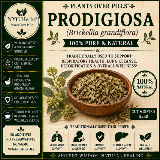 Prodigiosa | Lucid Dreaming & Mental Clarity