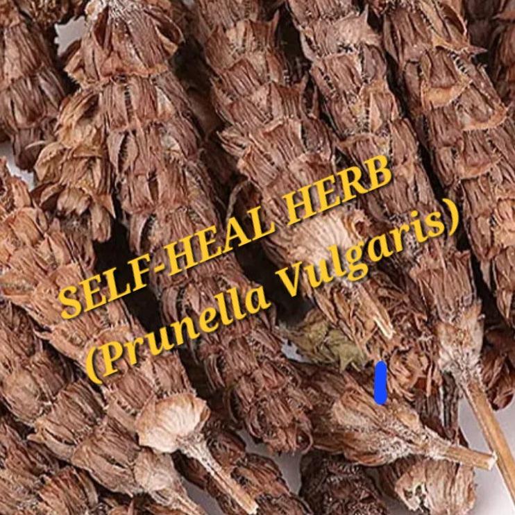 Self Heal / Heal-all herb