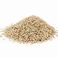 Sesame seed