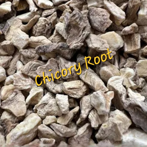 Chicory root