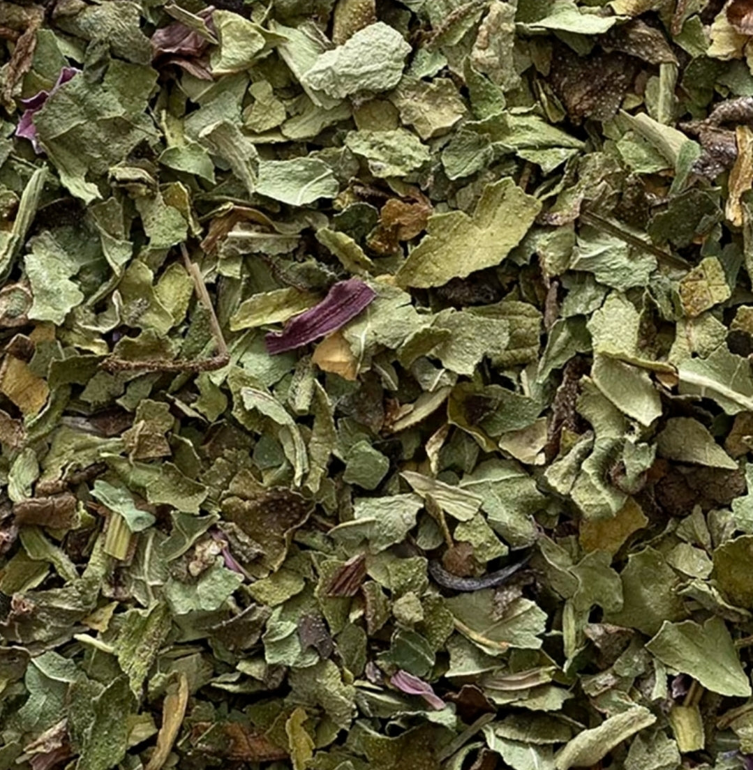 Echinacea root c/s