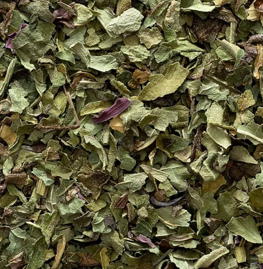 Echinacea (Echinacea purpurea)