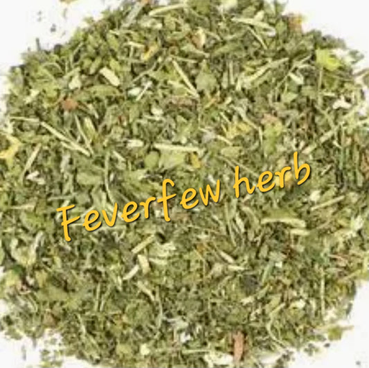 Feverfew (Santa Maria)