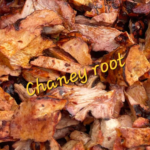 CHANEY ROOT