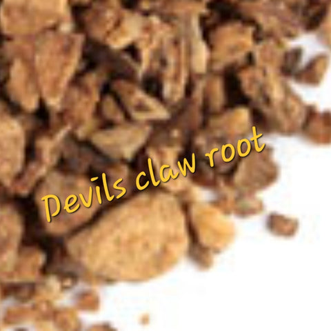 DEVILS CLAW ROOT