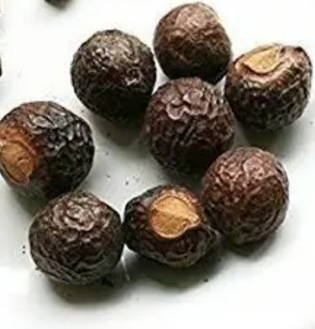 Soapnut (Aritha)