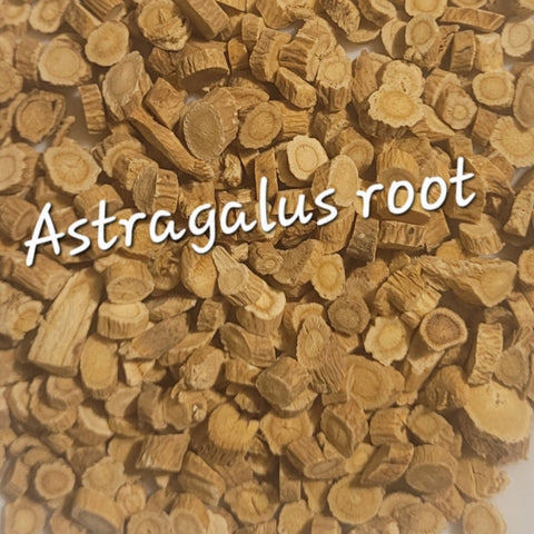 ASTRAGALUS ROOT