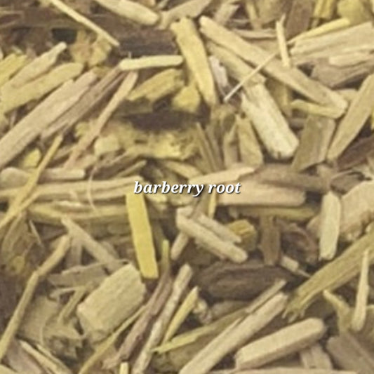 Barberry Root | Liver Cleanse & Digestive Aid