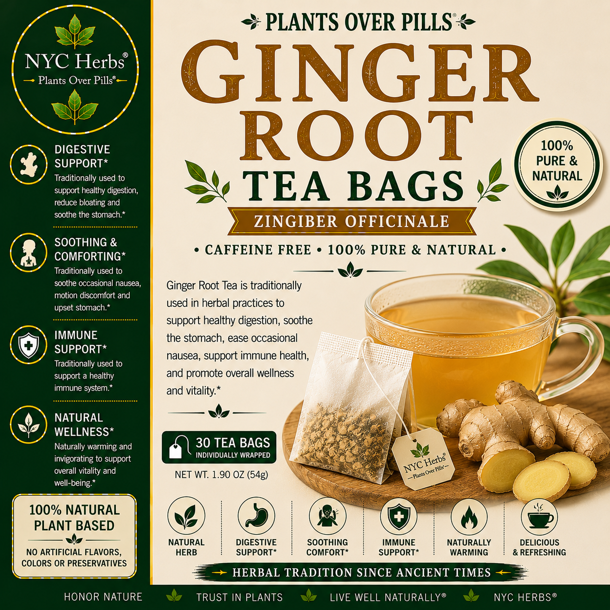 Ginger Root Tea Bags