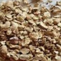 Wild Yam Root c/s
