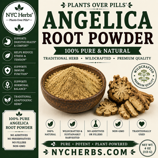 Angelica Root powder