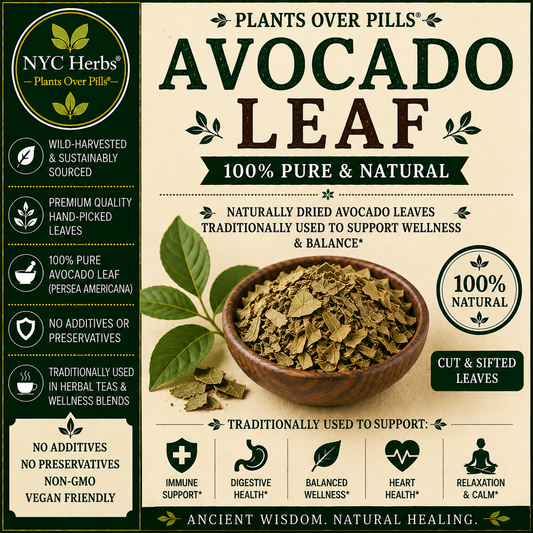 Avocado Leaf | Digestion, Circulation & Respiratory Support