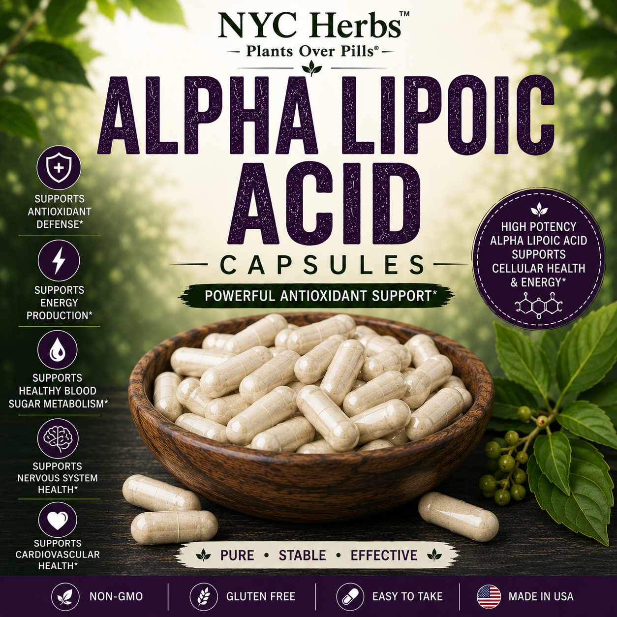 Alpha Lipoic Acid - Kidneys
