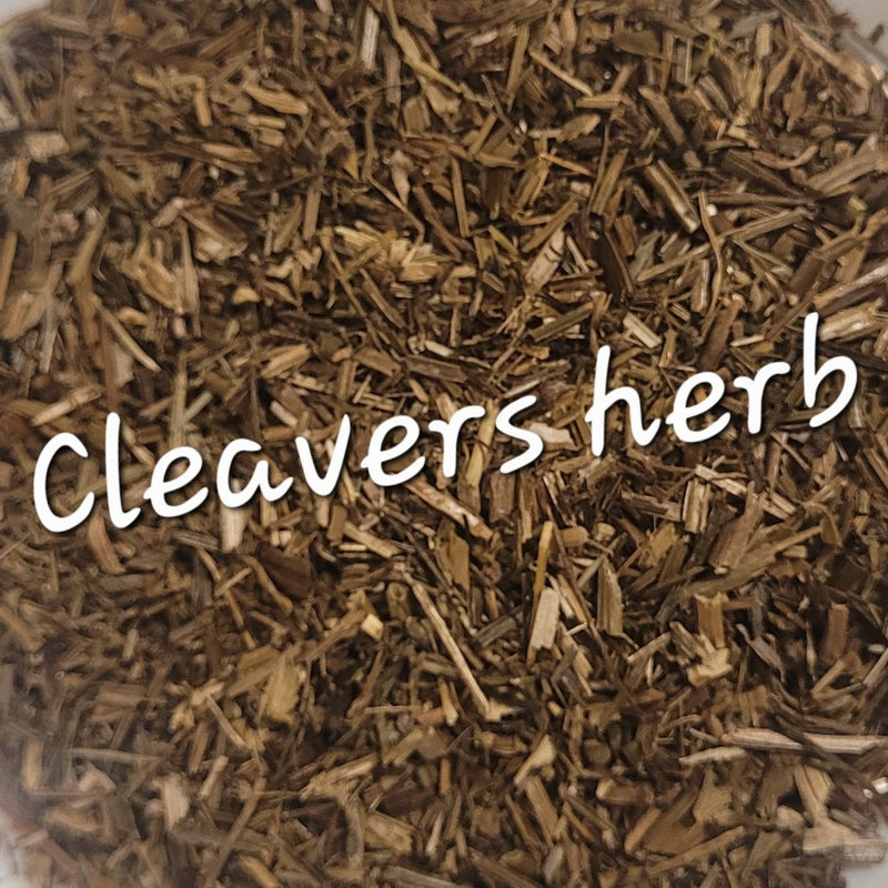 Cleavers Herb