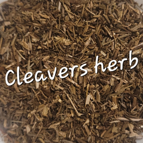 Cleavers Herb