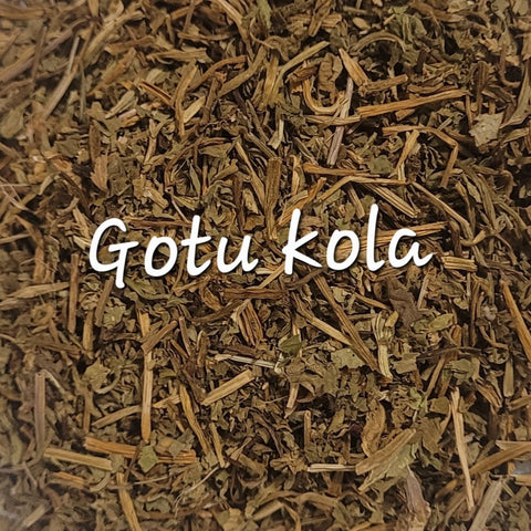 Gotu Kola (Centella asiatica)