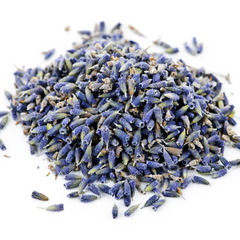 LAVENDER FLOWER