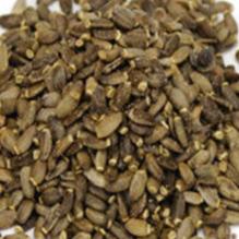 Milk Thistle Seed