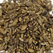 MILK THISTLE SEED