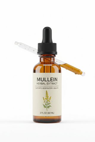 mullein tincture in dropper bottle