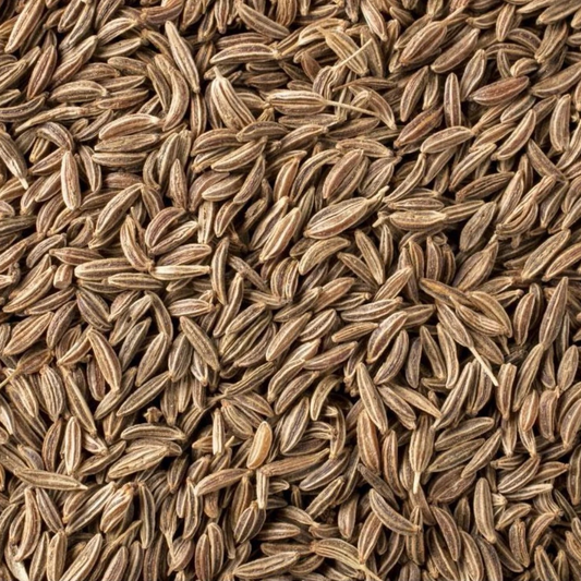 Caraway Seed | Digestive Aid & Gut Support
