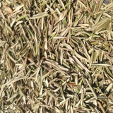 Hoja de olivo 