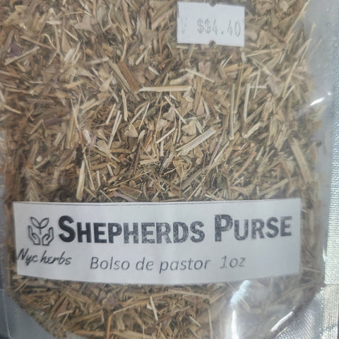 Sheperds Purse Herb