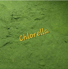 CHLORELLA