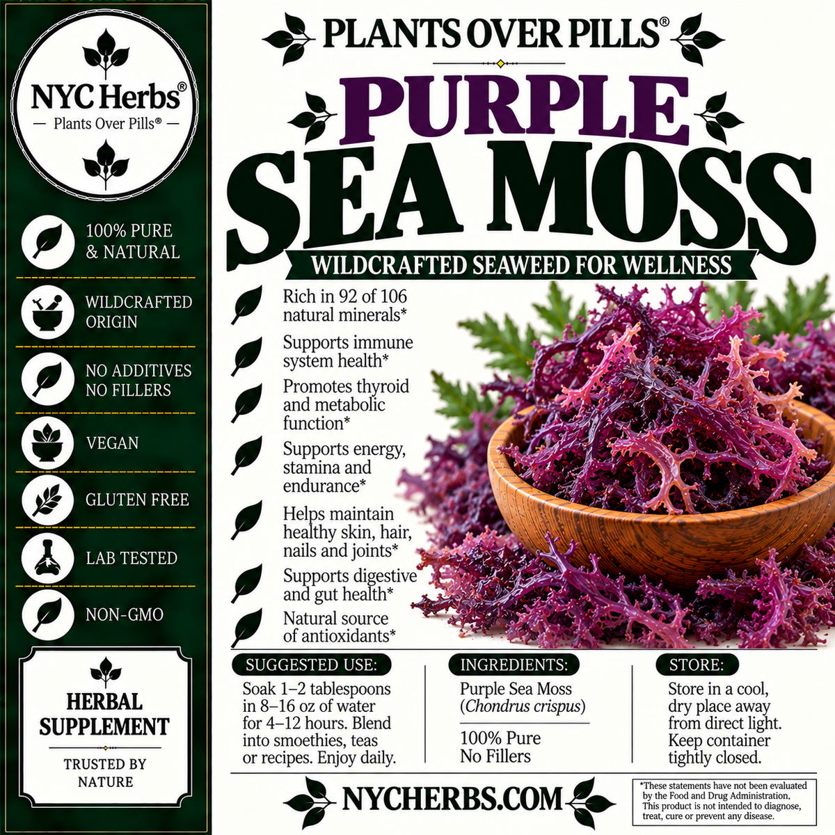 Purple Sea Moss